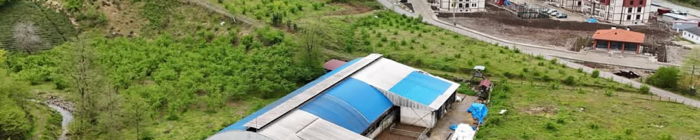 SÜRMENE ÜZÜMLÜ MAHALLESİ’NDEKİ MANDIRA KAPATILIYOR